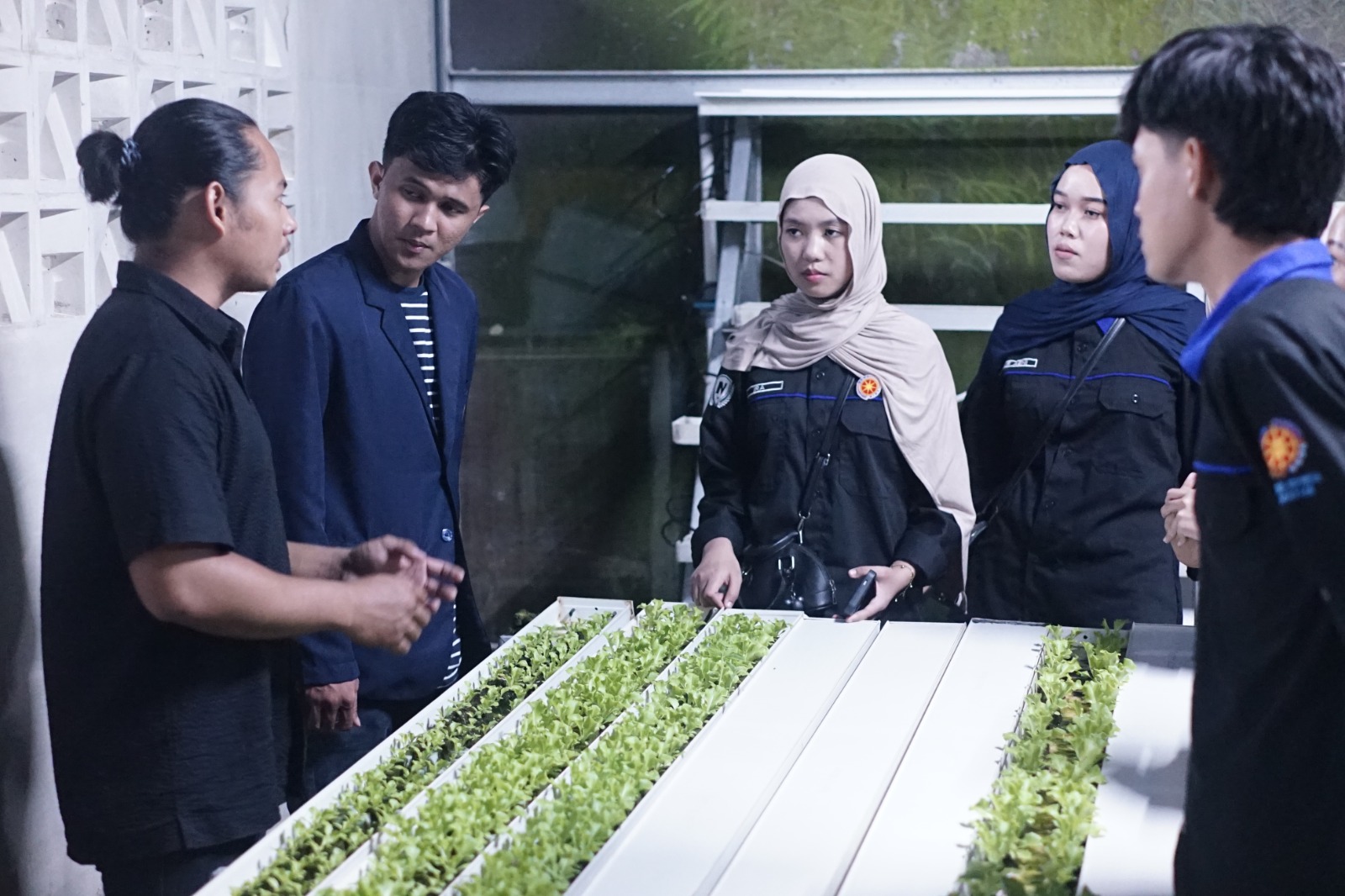 Mahasiswa-ITB-Nobel-Indonesia-Pelajari-Modernisasi-Pertanian-Berbasis-AIoT-di-Samata-Green-House